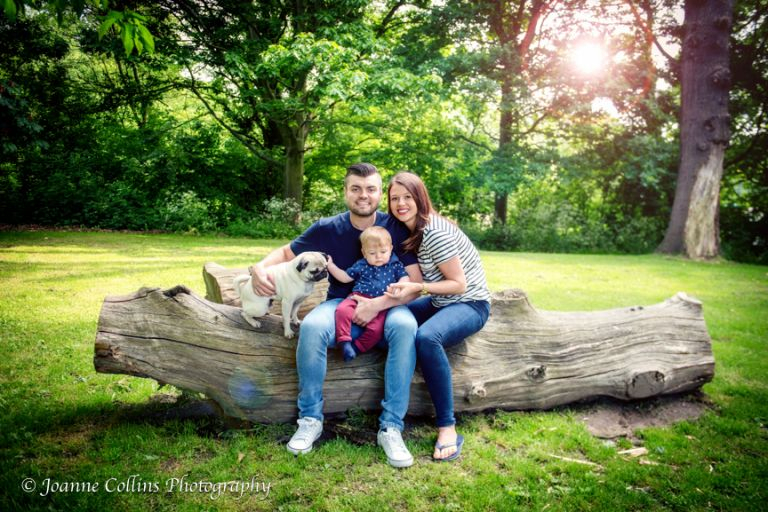 family photographer maidstone family photo on large tree trunk mote park